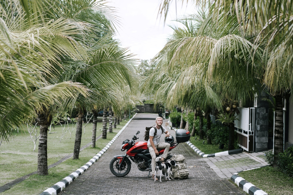 A traveler sits on a red motorcycle near a dog and backpack on a street lined with palm trees